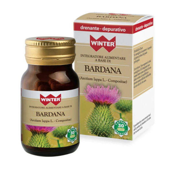 Bardana Winter