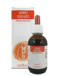 olmo campestre gemmoderivato