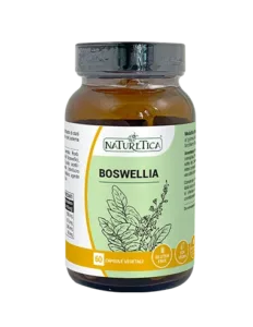 Boswellia - 60 capsule