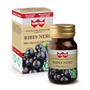 Ribes Nero - Winter