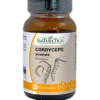 CORDYCEPS SINENSIS