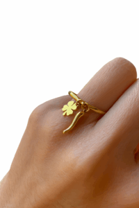 Anello Portafortuna dorato