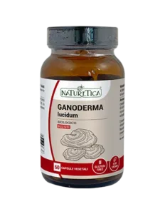 GANODERMA LUCIDUM (Reishi)