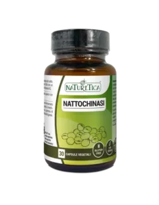 NATTOCHINASI