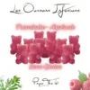 Orsetti per Infusione Lampone e Asperula - 10x
